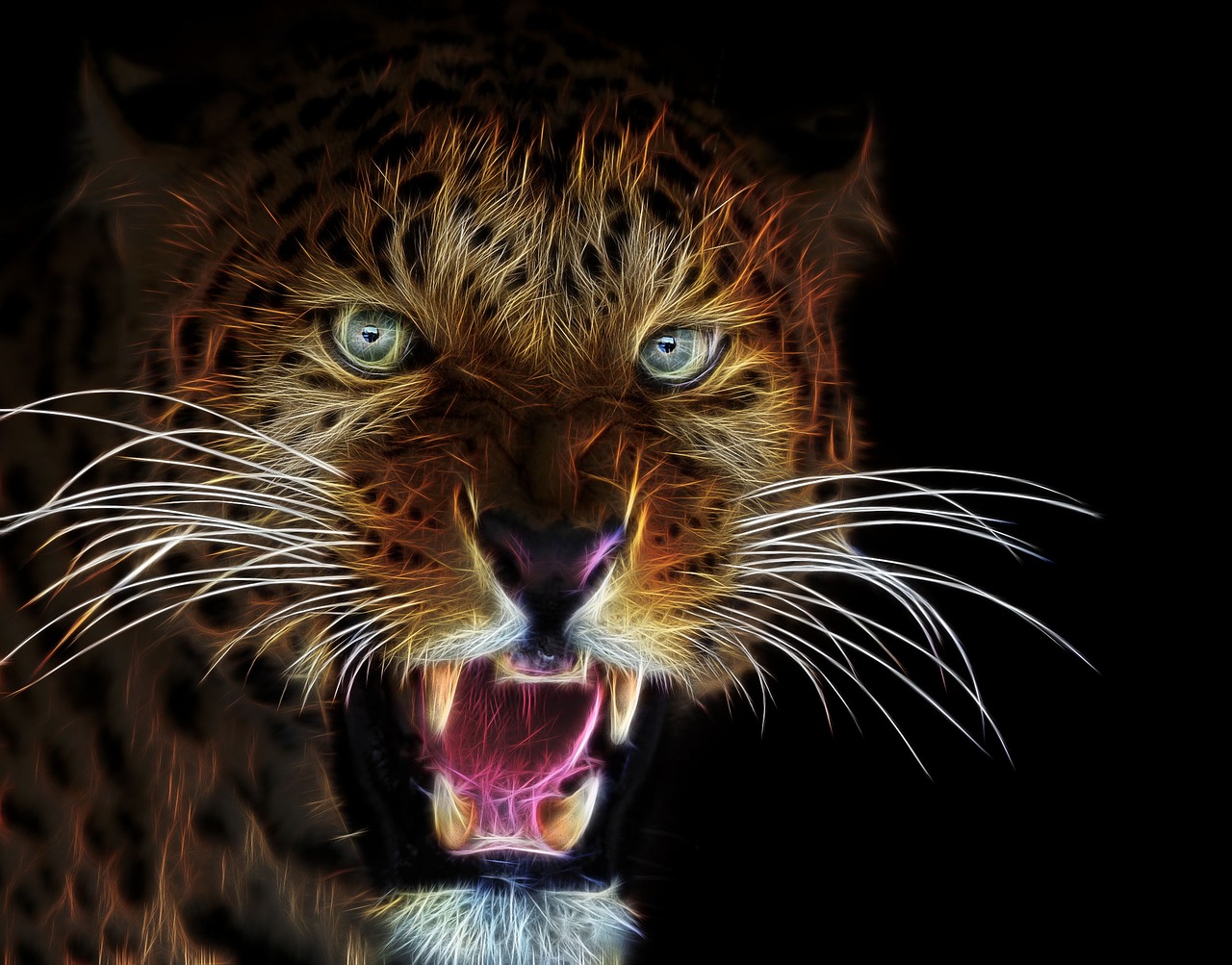 fractalius, profile picture, cat